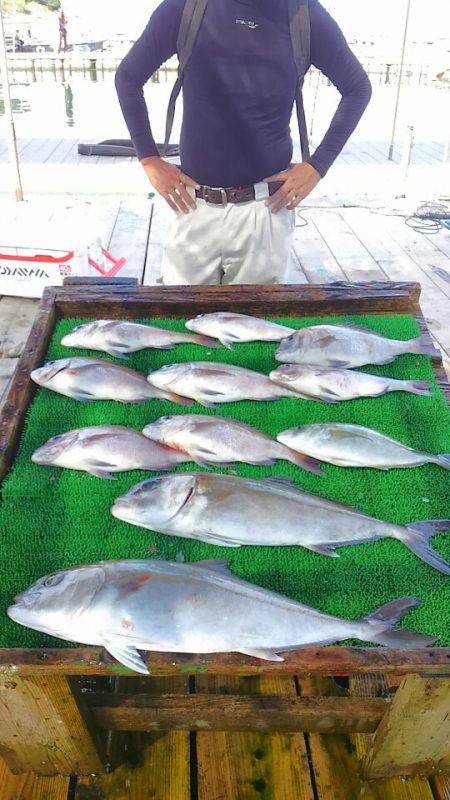 海の釣堀 海恵 釣果