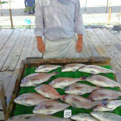 海の釣堀 海恵 釣果