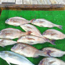 海の釣堀 海恵 釣果