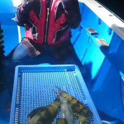 第三共栄丸 釣果