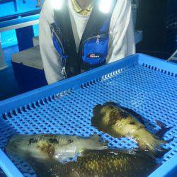 第三共栄丸 釣果