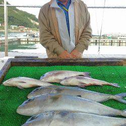 海の釣堀 海恵 釣果