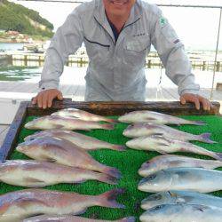 海の釣堀 海恵 釣果