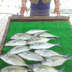 海の釣堀 海恵 釣果
