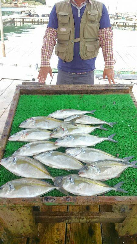 海の釣堀 海恵 釣果