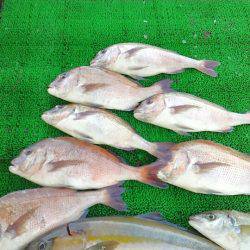 海の釣堀 海恵 釣果