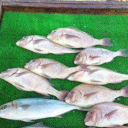 海の釣堀 海恵 釣果
