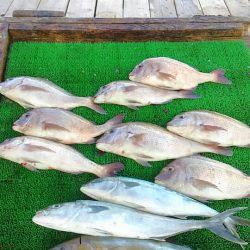 海の釣堀 海恵 釣果