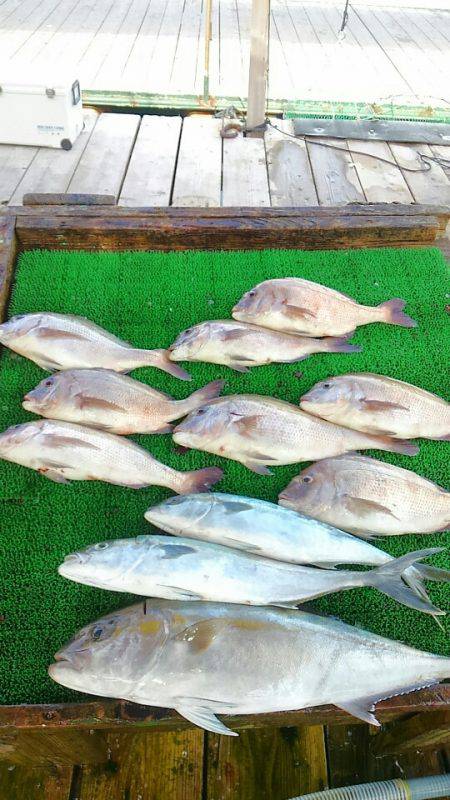 海の釣堀 海恵 釣果
