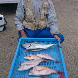 第三共栄丸 釣果