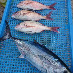 第三共栄丸 釣果