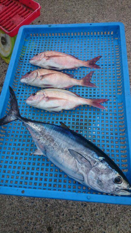 第三共栄丸 釣果