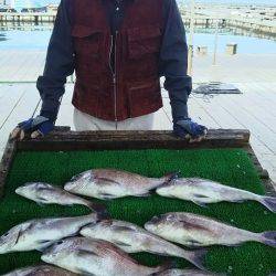 海の釣堀 海恵 釣果