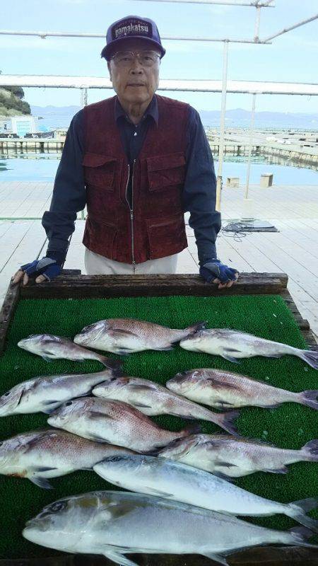 海の釣堀 海恵 釣果
