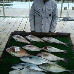 海の釣堀 海恵 釣果