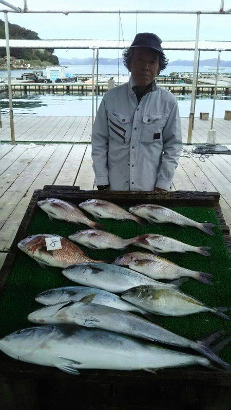 海の釣堀 海恵 釣果