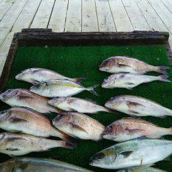 海の釣堀 海恵 釣果