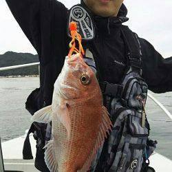 タイラバ遊漁船 ワンピース 釣果