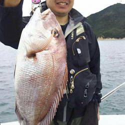 タイラバ遊漁船 ワンピース 釣果