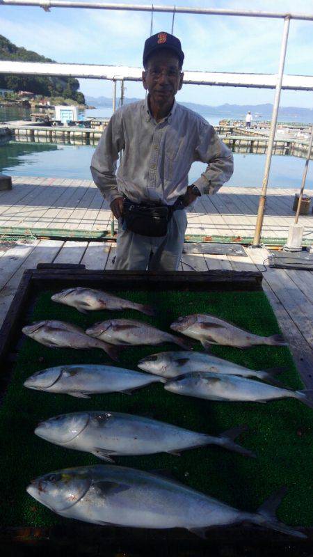 海の釣堀 海恵 釣果
