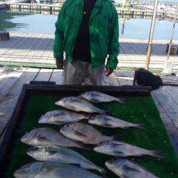 海の釣堀 海恵 釣果