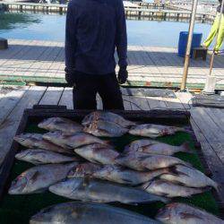 海の釣堀 海恵 釣果