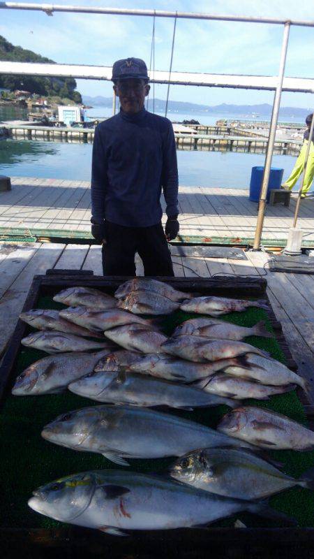 海の釣堀 海恵 釣果