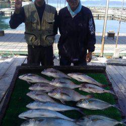 海の釣堀 海恵 釣果