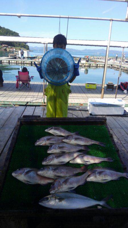 海の釣堀 海恵 釣果