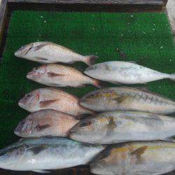 海の釣堀 海恵 釣果