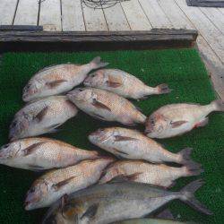 海の釣堀 海恵 釣果