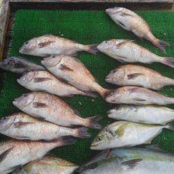 海の釣堀 海恵 釣果
