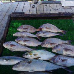 海の釣堀 海恵 釣果