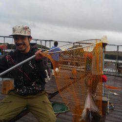 海の釣堀 海恵 釣果