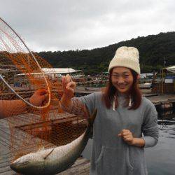 海の釣堀 海恵 釣果