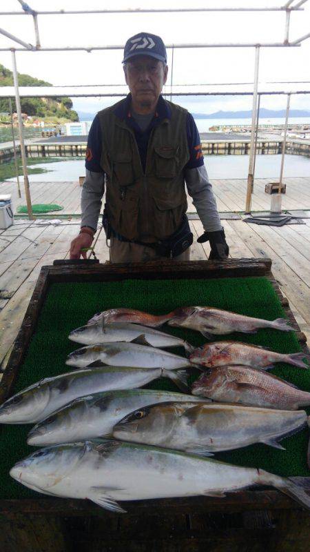海の釣堀 海恵 釣果