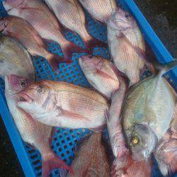 第三共栄丸 釣果