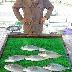 海の釣堀 海恵 釣果