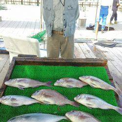 海の釣堀 海恵 釣果
