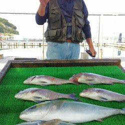 海の釣堀 海恵 釣果