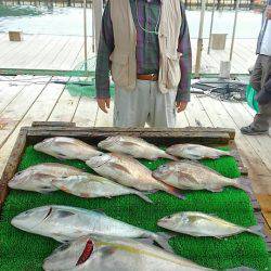 海の釣堀 海恵 釣果