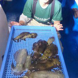 第三共栄丸 釣果