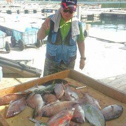 海の釣堀 海恵 釣果