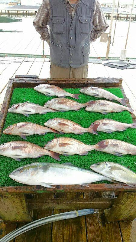 海の釣堀 海恵 釣果