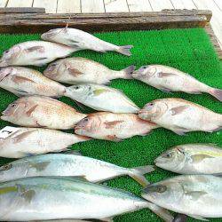 海の釣堀 海恵 釣果