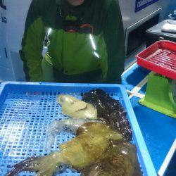 第三共栄丸 釣果