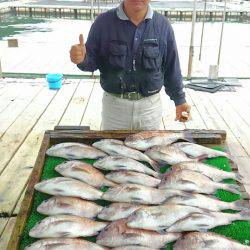 海の釣堀 海恵 釣果