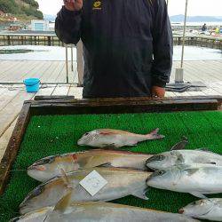 海の釣堀 海恵 釣果