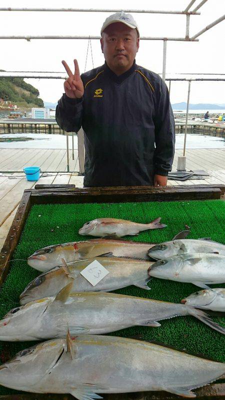 海の釣堀 海恵 釣果