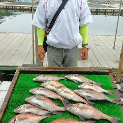 海の釣堀 海恵 釣果